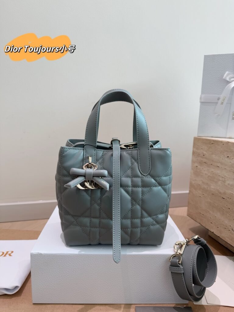 Dior Toujours Mini Vertical Bag — New Colorway